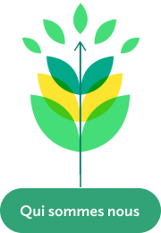 Agrisoleo propose une expertise unique pendant la phase de développement des projets grâce à notre expérience, notre méthodologie et à nos outils logiciels développés spécifiquement pour l’agrivoltaïsme.