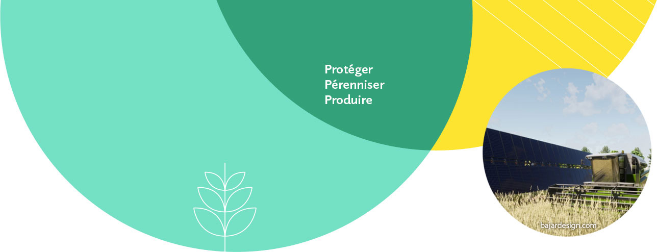 Le partenaire expert pour vos projets en agrivoltaïsme